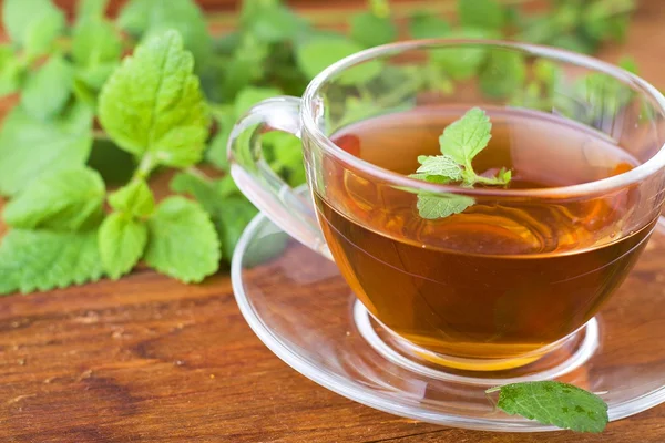 Tea and mint — Stock Photo, Image