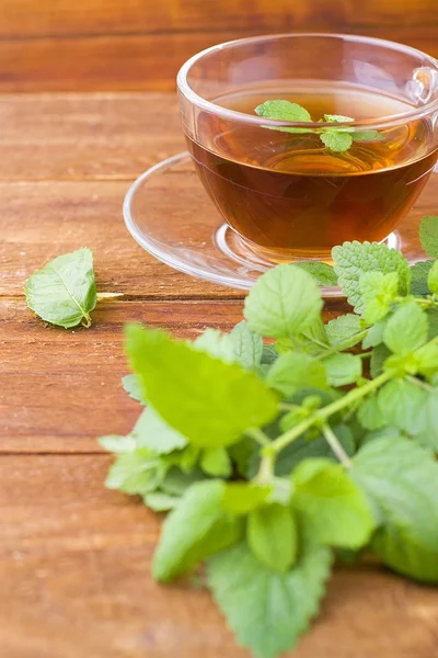 Tea and mint — Stock Photo, Image