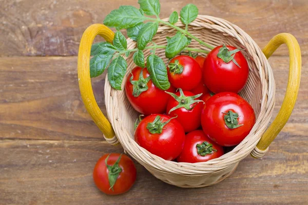 Tomatoes — Stock Photo, Image