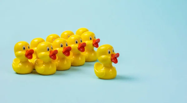 蓝色背景上的黄色小鸭 是团队合作的商业概念的核心 — 图库照片
