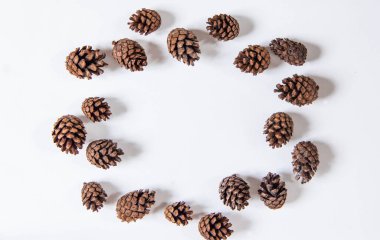 Beyaz arka planda çam kozalakları, yeni yıl ve Noel konsepti. Yeni yılın minimalist konsepti