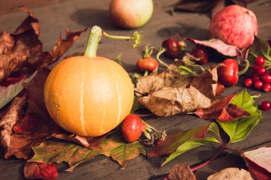 Ahşap bir arka planda sonbahar yaprakları, balkabağı ve kırmızı böğürtlen bileşimi. Şükran Günü ve Cadılar Bayramı kavramı