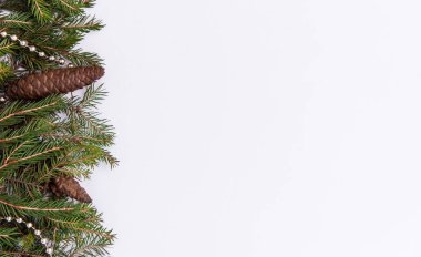 Kozalaklı Noel ağacı dallarının yaratıcı tasarımı, yazı için yer. Doğanın yeni yılı kavramı. Düz