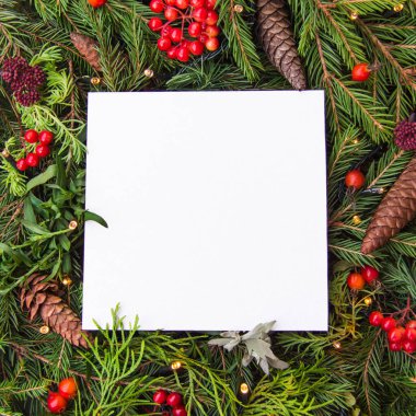 Noel ağacının çam kozalaklı ve kağıt kartlı dallarının yaratıcı düzeni. Doğanın yeni yılı kavramı. Düz