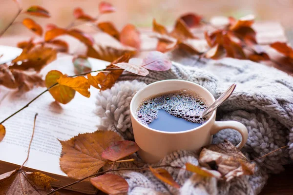 Autumn Autumn Leaves Hot Steaming Cup Coffee Old Book Grey — Stock Photo, Image
