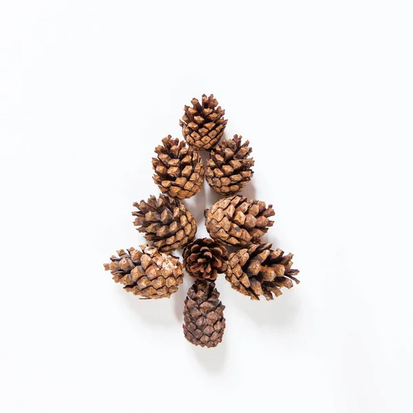 Christmas Minimalistic Concept Creative Christmas Tree Cones Flat Lay Top — Stock Photo, Image