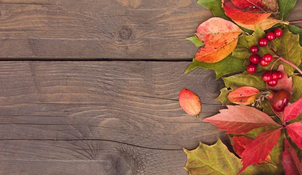 Concept of autumn, thanksgiving, harvest. Autumn leaves and berries on a wooden background