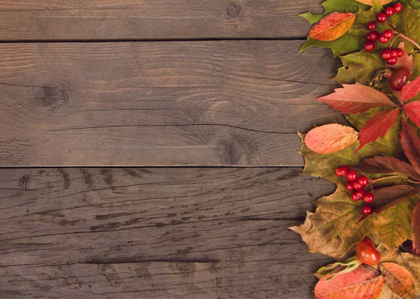 Konzept Herbst Erntedank Ernte Herbstblätter Und Beeren Auf Einem Hölzernen — Stockfoto
