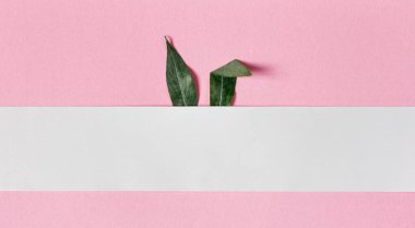 Tavşan kulakları pembe arka plandaki yeşil yapraklardan yapılır. Fotokopi alanı konsepti. Paskalya ve tavşan.