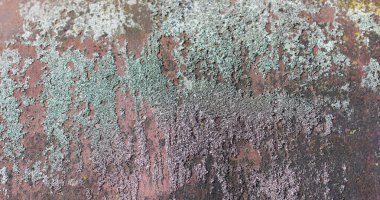 Eski paslı metal levha soyut arkaplan