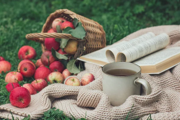 Autumn Picnic Mood Cup Tea Coffee Knitted Blanket Book Basket — Stock Photo, Image