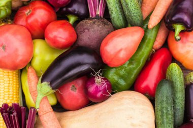 Taze sebze mahsulü, çiftçi hasadı, sebze bahçesi ve bahçıvanlık. Eko-ürünler, vejetaryenlik, alternatif protein, sebze besin