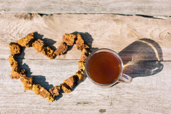 Chaga Fuerte Antioxidante Estimula Sistema Inmunológico Saludable Natural Puro Champiñón Imagen de archivo