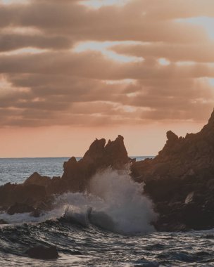 Sahilde pembe bir günbatımı dalgalar kayalara vuruyor ve kuşların siluetine.