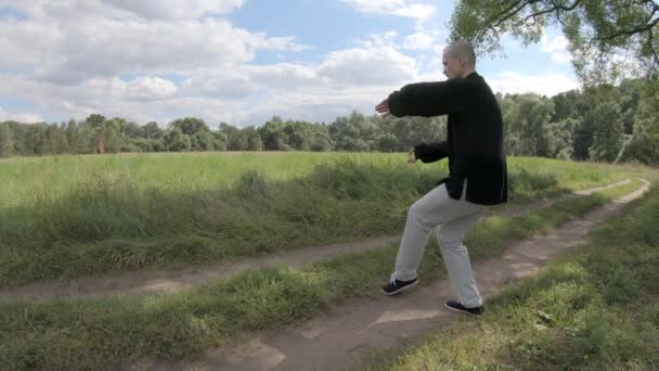 Wushu, l'homme se déplace en douceur puis frappe brusquement avec sa main — Video