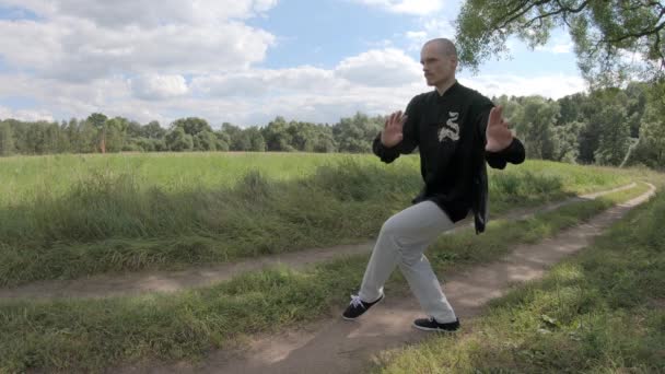 Кунг-фу в стиле дракона. Европейский человек занимается боевыми искусствами — стоковое видео