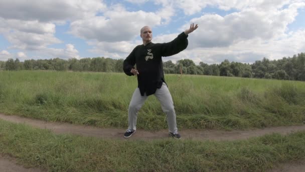 Meester Wushu doet oefeningen om vitale energie te herstellen. — Stockvideo