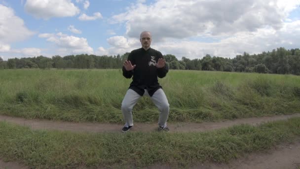 Qigong am Morgen im Park in der Natur — Stockvideo