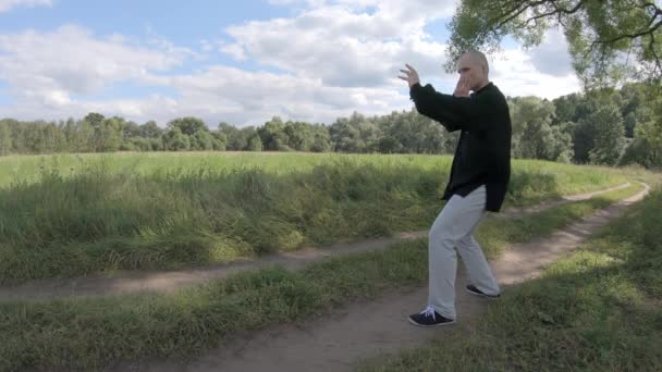 Meister bekämpft einen imaginären Feind im Schatten einer Weide — Stockvideo