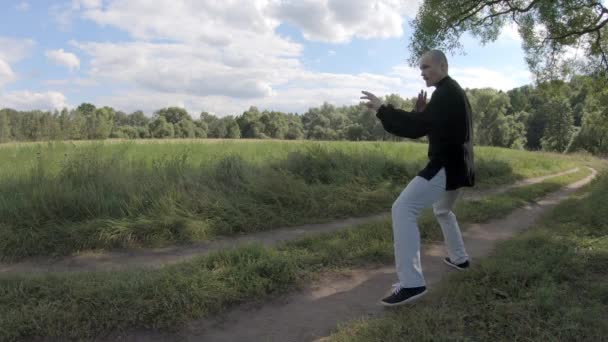 若い男は自然の中で武道を練習します — ストック動画