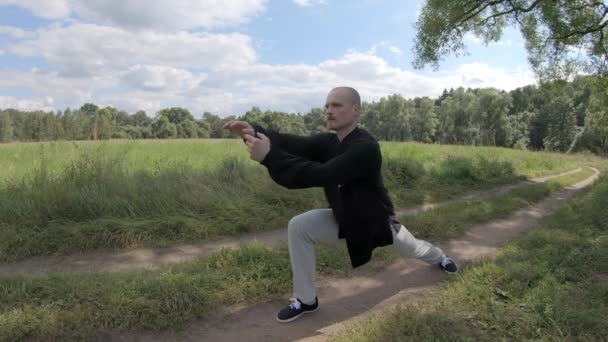 Öva Taijiquan och qigong i naturen i skuggan av ett träd — Stockvideo