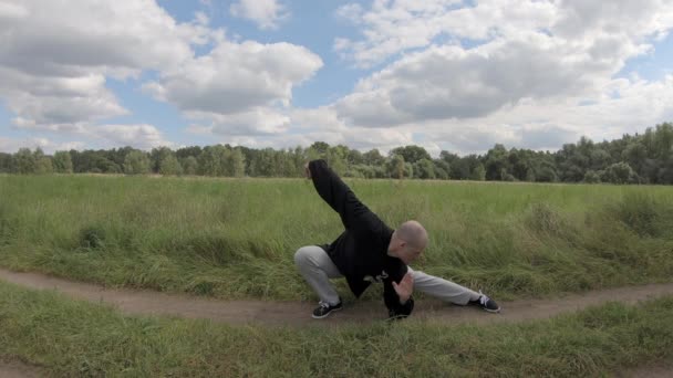 Qigong gymnastique dans la nature. Wushu le matin dans le parc — Video