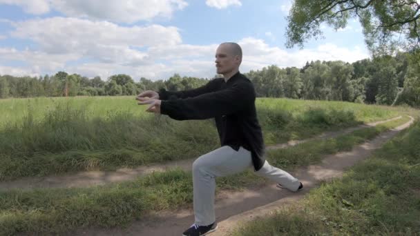 Человек создает комплекс боевых искусств — стоковое видео