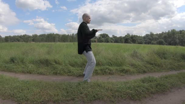 Wushu mästare i kinesiska kläder är engagerad i qigong — Stockvideo