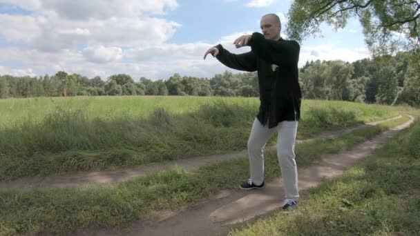 Мастер ушу практикует цигун в тени ивы — стоковое видео