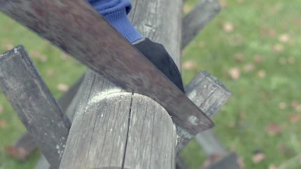 El trabajador sierra un tronco con una sierra de mano — Vídeos de Stock