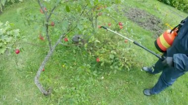 Böceklere karşı böcek ilacıyla tarım mahsulleri