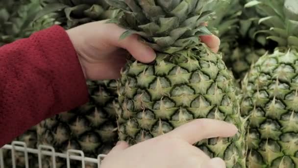 Handen van het meisje in rode jas aanraking ananas in de winkel plank — Stockvideo