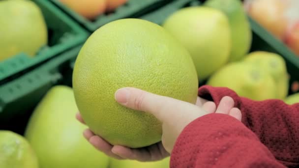 Αγοράστε Citrus maxima στο σούπερ μάρκετ. Τα χέρια των γυναικών κοντά σουτ — Αρχείο Βίντεο