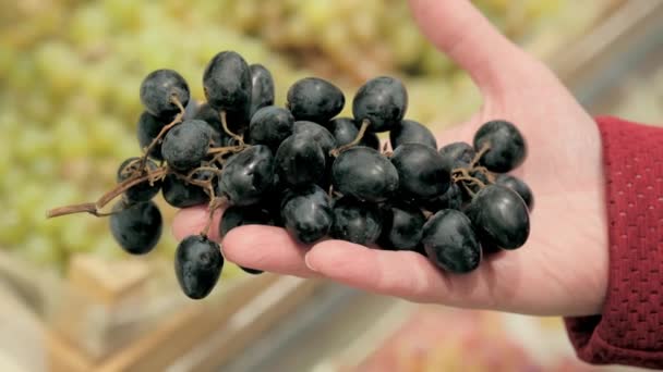 Chica en el supermercado elige las uvas rojas. Primer plano de tiro — Vídeos de Stock