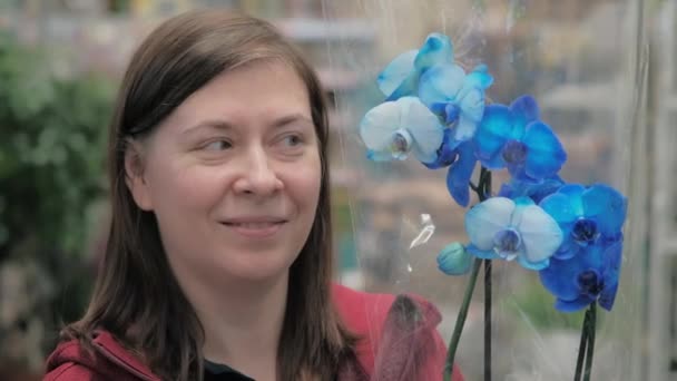 Frau bewundert einen Strauß blauer Orchideen — Stockvideo