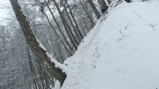 Soldat mit taktischem Rucksack rollt schneebedeckten Hang hinunter — Stockvideo