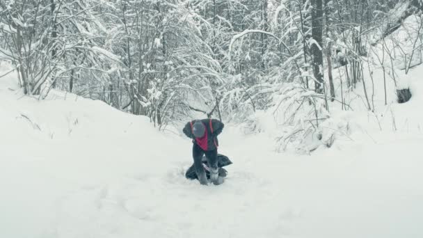 Człowiek ciągnie ciężkie prowizoryczne nosze przez śnieżne są — Wideo stockowe