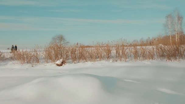 Parque cubierto de nieve de invierno. Colores del atardecer en las nubes — Vídeos de Stock