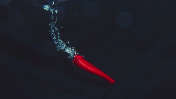 Il peperoncino piccante rosso cade lentamente in acqua. Concetto cibo sano e vitamine — Video Stock