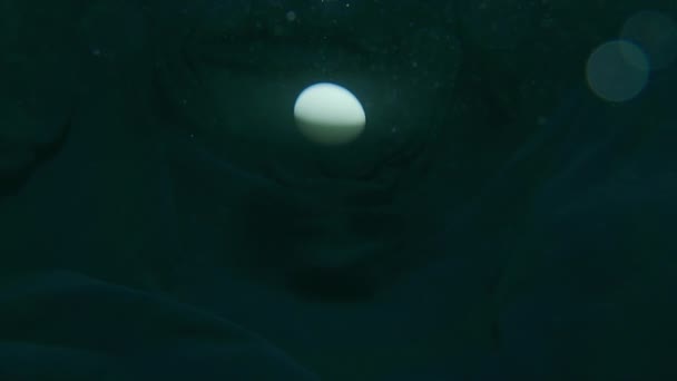 Agilice las tierras de la nave espacial en forma de huevo bajo el agua. Gravitacional emanan de OVNI — Vídeos de Stock