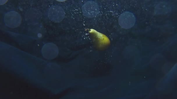 Fruitpeer valt in het water. Concept van gezond voedsel, en veganistisch — Stockvideo