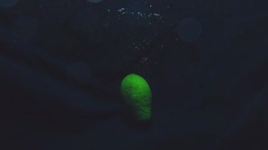 Avokado meyvesi yavaşça suya dalıyor ve uzun bir süre ortada dönüyor.