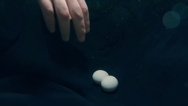 男性の手は水中から鶏の卵を取り出します。料理の概念 — ストック動画