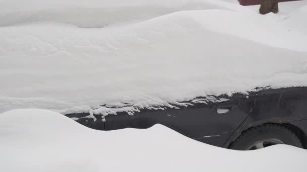 少し、完全に雪で覆われた車の錆びた。冬のサイクロンの概念 — ストック動画