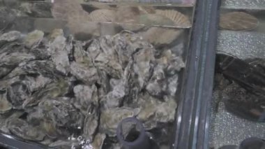 Nehir kerevitleri ve çeşitli istiridye türleri restoranın tezgahında su altında.