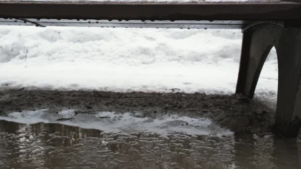 Park bench close up shot. Snow melts and drops fall from the bench into a puddle — Stock Video