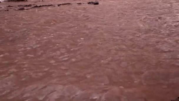 Der Fluss ist rot. Das Konzept der Kontamination von fließendem Wasser mit Eisenoxid — Stockvideo