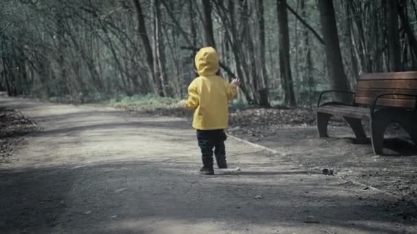 Kleines Kind läuft in dunklem Gruselwald. Er trägt einen gelben Umhang mit Kapuze — Stockvideo