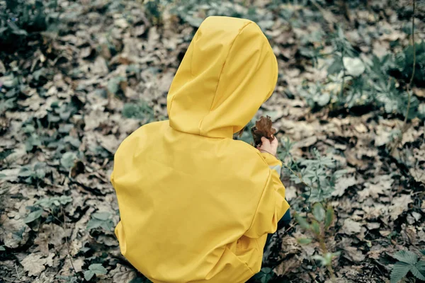 Bambino piccolo con impermeabile giallo con cappuccio siede nella foresta e tiene una foglia di quercia — Foto Stock
