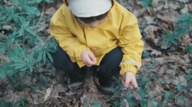 Child in yellow hooded raincoat and a white hat is plucking flowers of in forest
